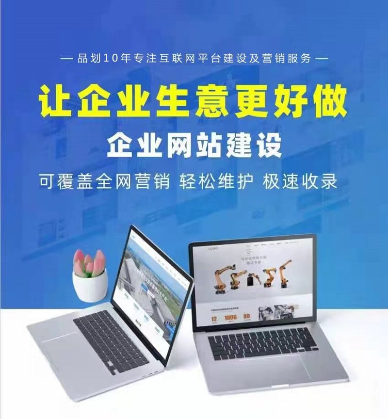 电商平台开发——构建商业生态的新引擎