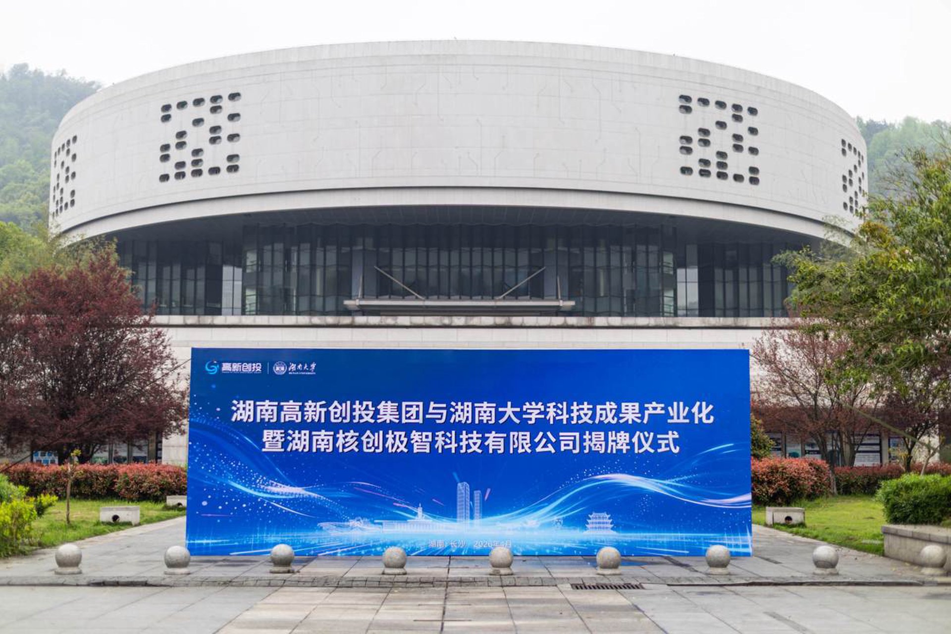 极智网络科技