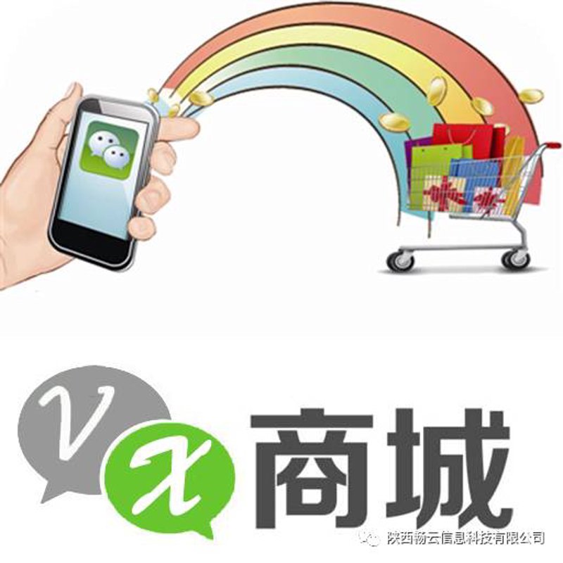 电商平台开发——构建未来商业桥梁的力量